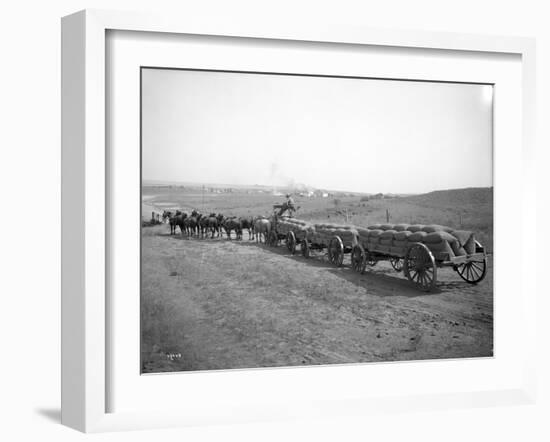 Horses Pulling Wheat Wagons, 1915-Ashael Curtis-Framed Giclee Print