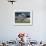 Horses Racing and Crowds, Goodwood Racecourse, West Sussex, England, United Kingdom-Jean Brooks-Framed Photographic Print displayed on a wall