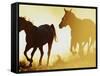 Horses Running at Sunset-Darrell Gulin-Framed Stretched Canvas