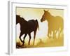 Horses Running at Sunset-Darrell Gulin-Framed Photographic Print