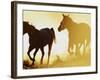 Horses Running at Sunset-Darrell Gulin-Framed Photographic Print