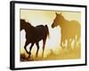 Horses Running at Sunset-Darrell Gulin-Framed Photographic Print