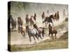 Horses Running During Roundup, Montana, USA-Adam Jones-Stretched Canvas