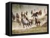 Horses Running During Roundup, Montana, USA-Adam Jones-Framed Stretched Canvas