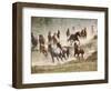 Horses Running During Roundup, Montana, USA-Adam Jones-Framed Photographic Print