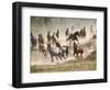 Horses Running During Roundup, Montana, USA-Adam Jones-Framed Photographic Print