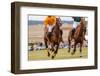 Horses Running in a Polo Match.-hutch photography-Framed Photographic Print