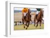 Horses Running in a Polo Match.-hutch photography-Framed Photographic Print