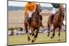 Horses Running in a Polo Match.-hutch photography-Mounted Photographic Print