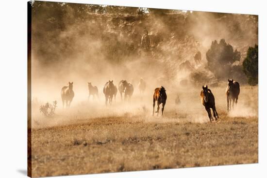 Horses Running in Dust with Wranglers on New Mexico Ranch-Sheila Haddad-Stretched Canvas