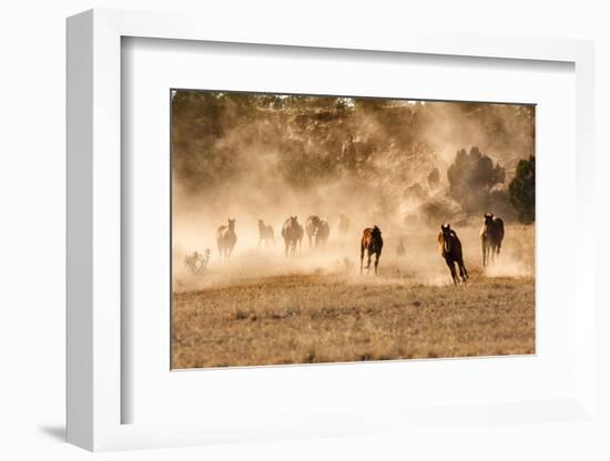 Horses Running in Dust with Wranglers on New Mexico Ranch-Sheila Haddad-Framed Photographic Print