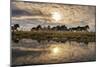 Horses Running in the Countryside, Sn?fellsnes Peninsula, Iceland-Ragnar Th Sigurdsson-Mounted Photographic Print