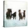 Horses Running Through The Surf-Dan Meneely-Stretched Canvas