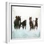 Horses Running Through The Surf-Dan Meneely-Framed Art Print