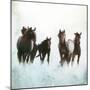 Horses Running Through The Surf-Dan Meneely-Mounted Art Print