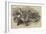 Horses Struck by Lightning on Middleham Moor-null-Framed Giclee Print