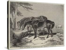 Horses, the Property of William Wigram, Esquire-Charles Landseer-Stretched Canvas