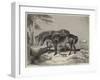 Horses, the Property of William Wigram, Esquire-Charles Landseer-Framed Giclee Print