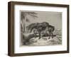 Horses, the Property of William Wigram, Esquire-Charles Landseer-Framed Giclee Print