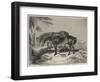 Horses, the Property of William Wigram, Esquire-Charles Landseer-Framed Giclee Print