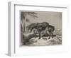 Horses, the Property of William Wigram, Esquire-Charles Landseer-Framed Giclee Print