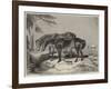 Horses, the Property of William Wigram, Esquire-Charles Landseer-Framed Giclee Print