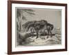 Horses, the Property of William Wigram, Esquire-Charles Landseer-Framed Giclee Print