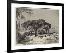 Horses, the Property of William Wigram, Esquire-Charles Landseer-Framed Giclee Print