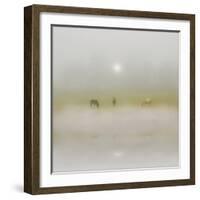 Horses Through the Mists-Adrian Campfield-Framed Photographic Print