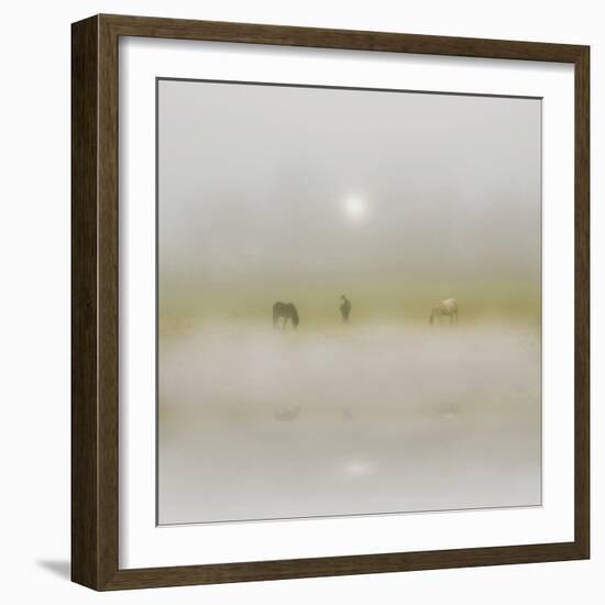 Horses Through the Mists-Adrian Campfield-Framed Photographic Print