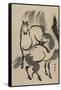 Horses under a Willow Tree.-Shunsen Katsukawa-Framed Stretched Canvas