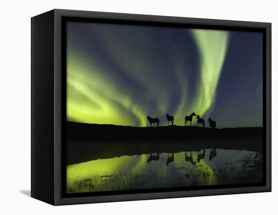Horses under the Aurora Borealis-null-Framed Stretched Canvas