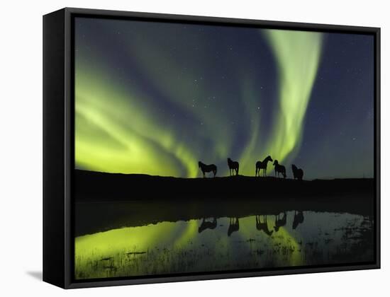 Horses under the Aurora Borealis-null-Framed Stretched Canvas