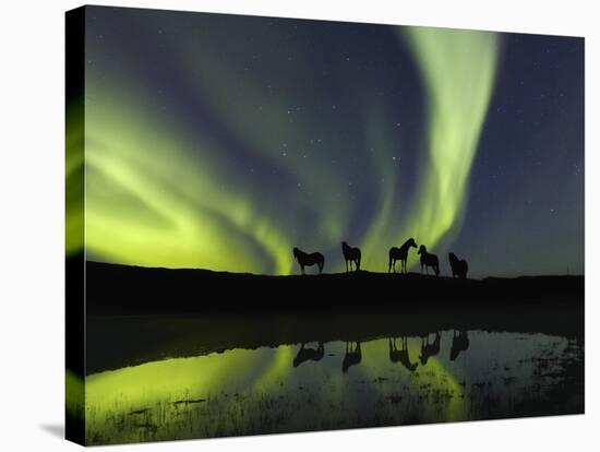 Horses under the Aurora Borealis-null-Stretched Canvas