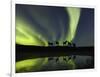 Horses under the Aurora Borealis-null-Framed Photographic Print