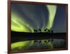 Horses under the Aurora Borealis-null-Framed Photographic Print