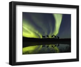 Horses under the Aurora Borealis-null-Framed Photographic Print