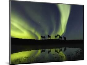 Horses under the Aurora Borealis-null-Mounted Photographic Print
