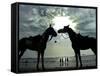 Horses, Used for Joyrides, Stand on the Beach-null-Framed Stretched Canvas