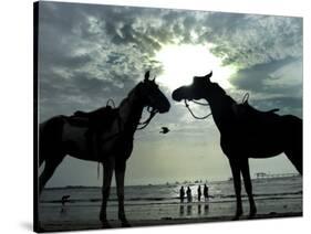 Horses, Used for Joyrides, Stand on the Beach-null-Stretched Canvas