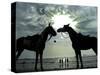 Horses, Used for Joyrides, Stand on the Beach-null-Stretched Canvas