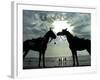 Horses, Used for Joyrides, Stand on the Beach-null-Framed Photographic Print