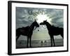 Horses, Used for Joyrides, Stand on the Beach-null-Framed Photographic Print