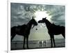 Horses, Used for Joyrides, Stand on the Beach-null-Framed Photographic Print