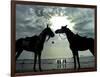 Horses, Used for Joyrides, Stand on the Beach-null-Framed Photographic Print