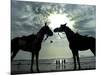 Horses, Used for Joyrides, Stand on the Beach-null-Mounted Photographic Print