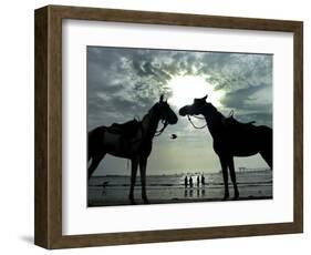 Horses, Used for Joyrides, Stand on the Beach-null-Framed Photographic Print