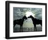 Horses, Used for Joyrides, Stand on the Beach-null-Framed Photographic Print