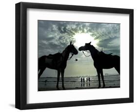 Horses, Used for Joyrides, Stand on the Beach-null-Framed Photographic Print