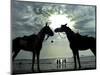 Horses, Used for Joyrides, Stand on the Beach-null-Mounted Photographic Print